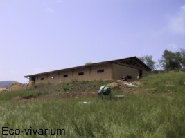 Construction de l'eco-vivarium: bardage bois