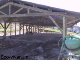 Construction de l'eco-vivarium: dalle beton