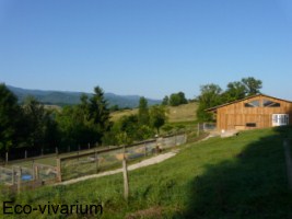 Construction de l'eco-vivarium: exterrieur