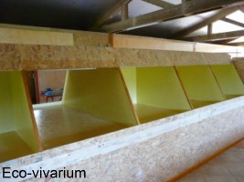 Construction de l'eco-vivarium: grands terrariums