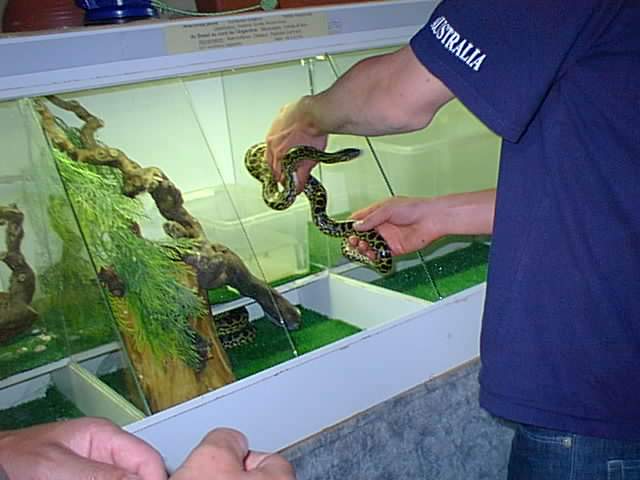 Stage à la Ferme des Reptiles