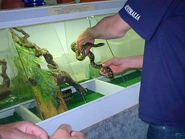 Stage  la Ferme des Reptiles