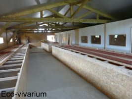 Construction de l'eco-vivarium: socle des terrariums