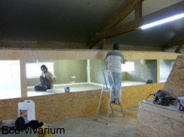 Construction de l'eco-vivarium: grands terrariums