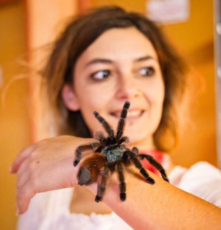 Halloween à la Ferme des Reptiles